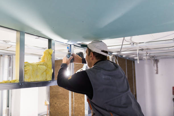 Best Fiberglass Insulation  in Assumption, IL