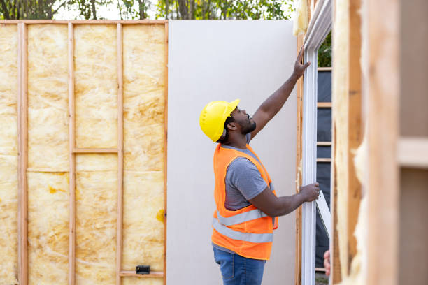Best Insulation Repair Services  in Assumption, IL