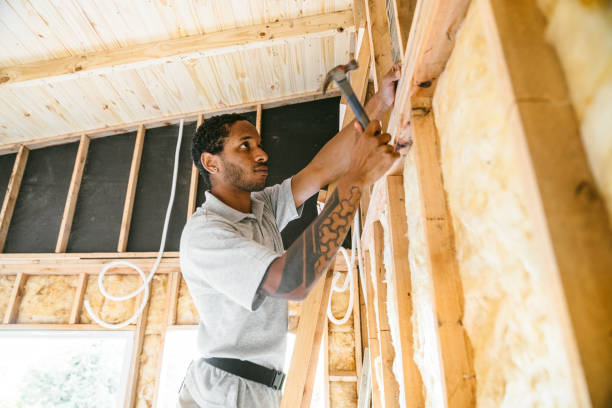 Best Commercial Insulation Contractor  in Assumption, IL