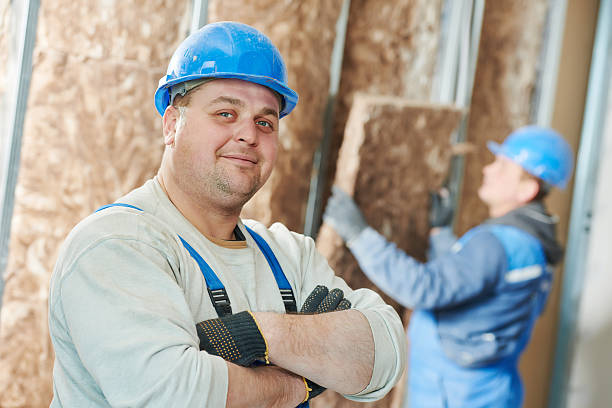Best Cellulose Insulation  in Assumption, IL