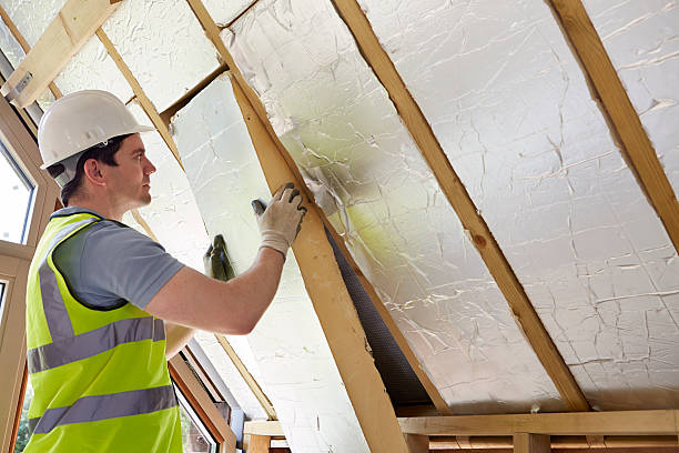 Best Soundproof Insulation Installation  in Assumption, IL