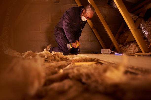 Best Crawl Space Insulation  in Assumption, IL
